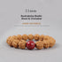 11mm / Rudraksha Bodhi Seed & Cinnabar