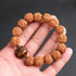 Rudraksha Bodhi Seed